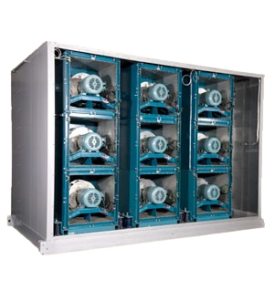 lm1
